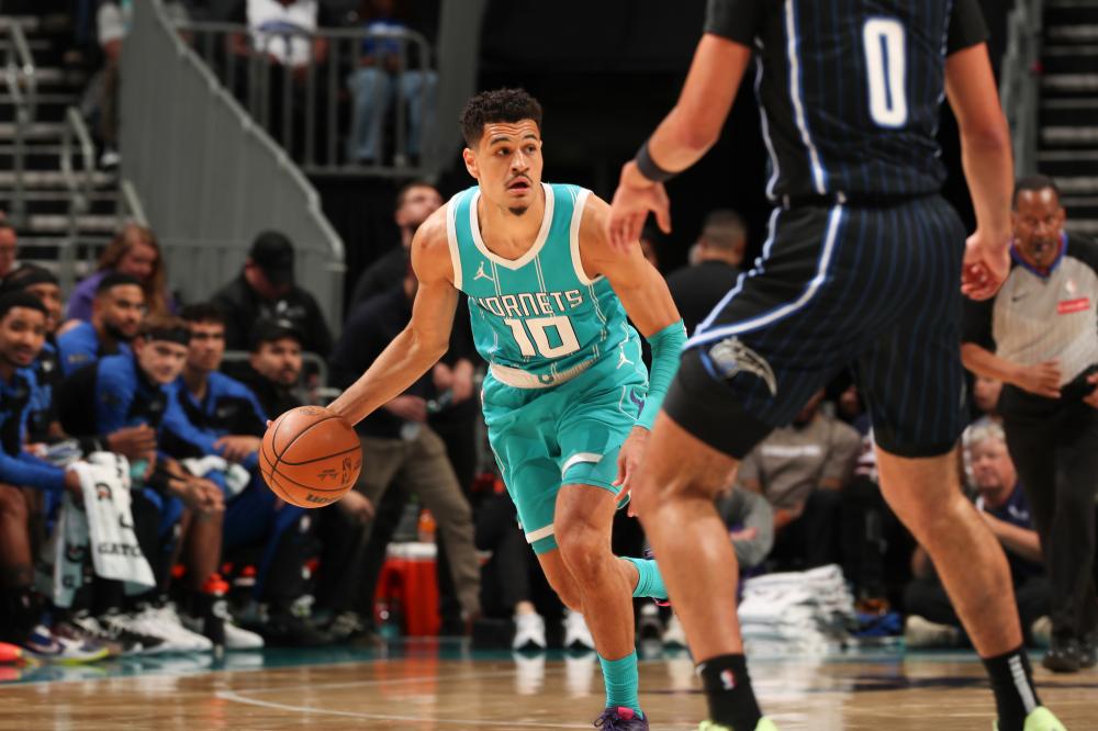 象屡屡出现 象屡屡出现